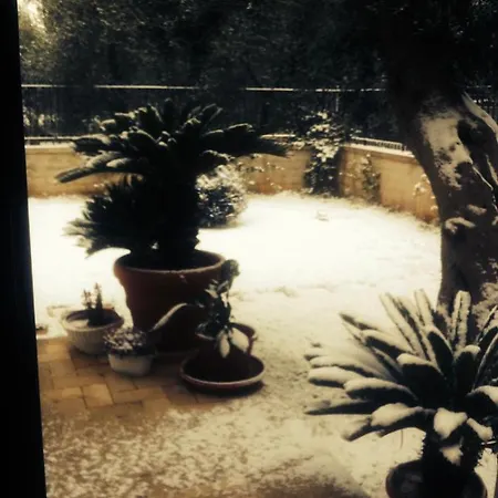 Les Fleurs Bed & Breakfast Bari