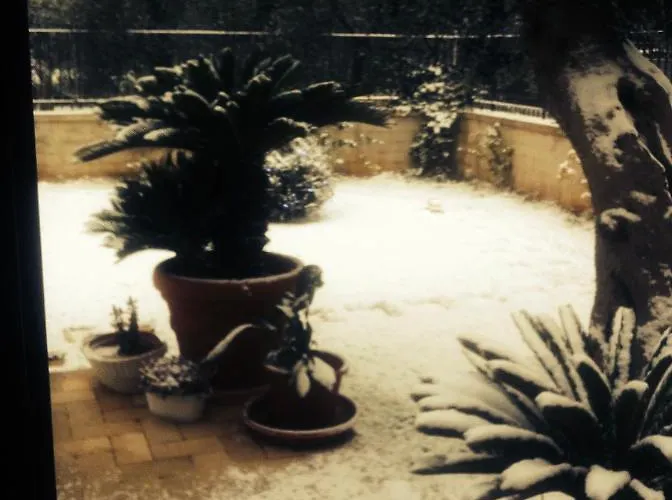 Les Fleurs Bed & Breakfast Bari